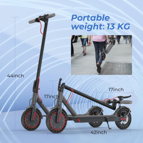 Roinside Electric scooter