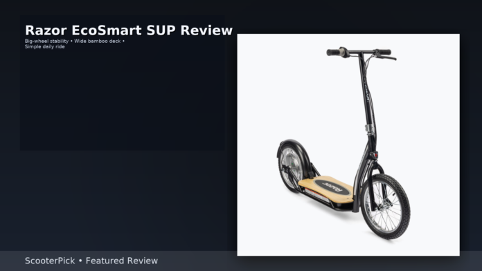 Razor EcoSmart SUP Review
