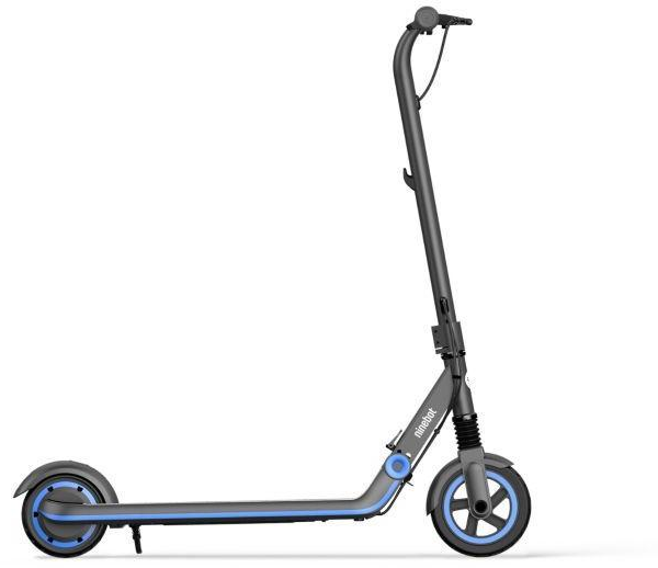 Segway Ninebot ZING E10